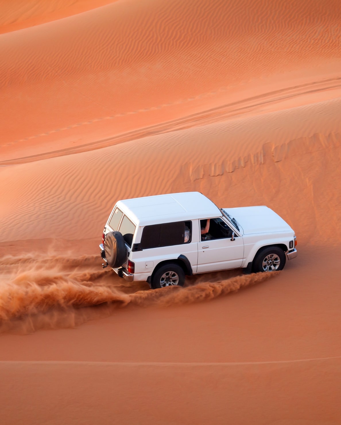Desert Safari